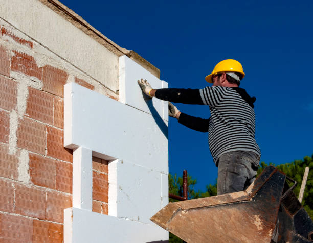 Best Eco-Friendly Insulation in Bellevue, MI