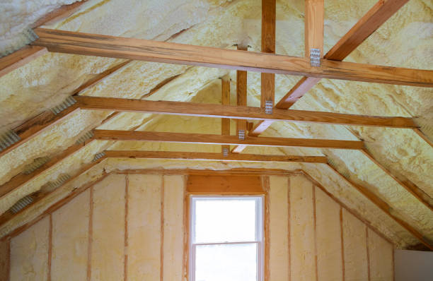 Best Specialized Insulation Services in Bellevue, MI